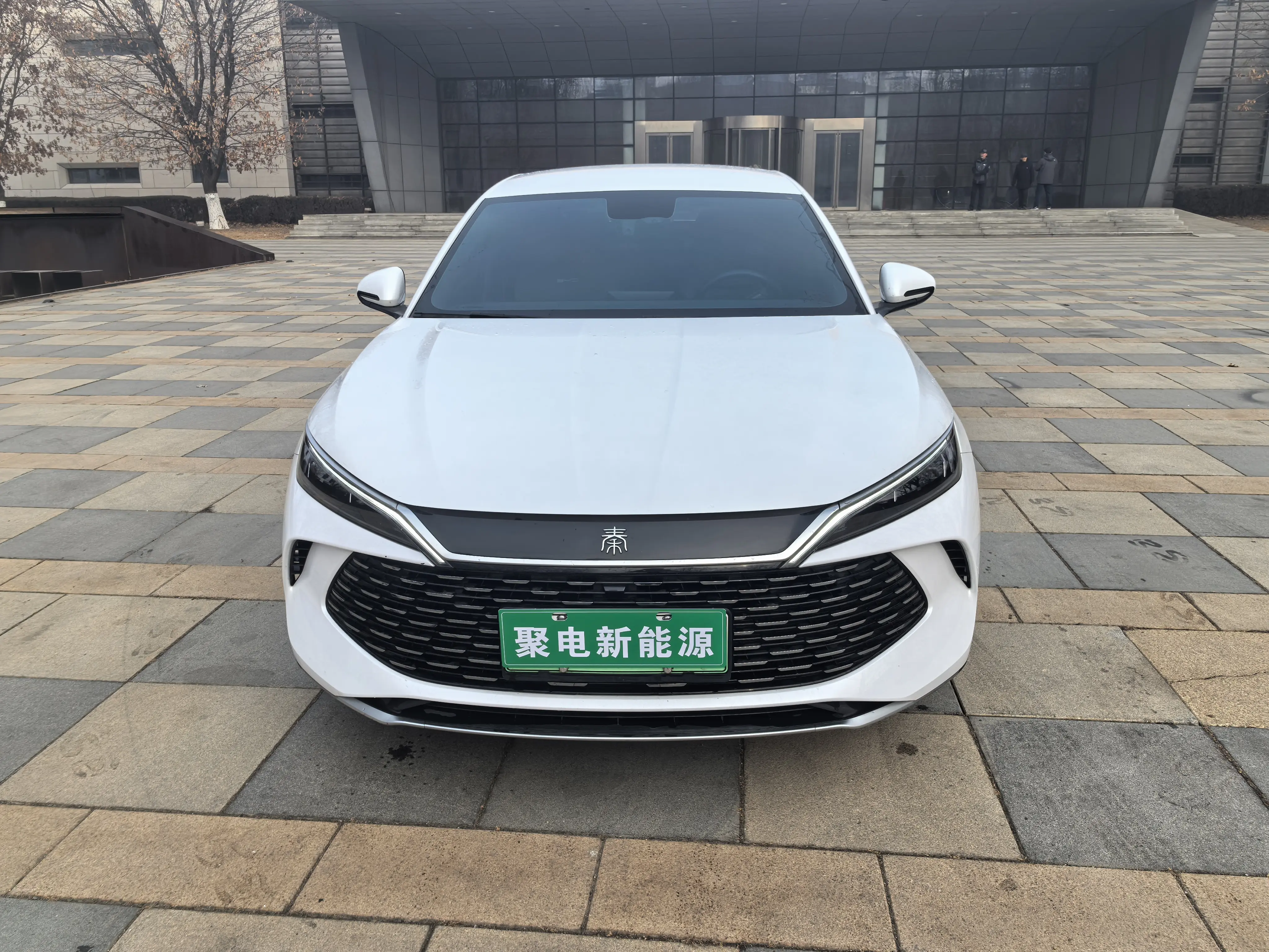 BYD Qin L DM  из Китая