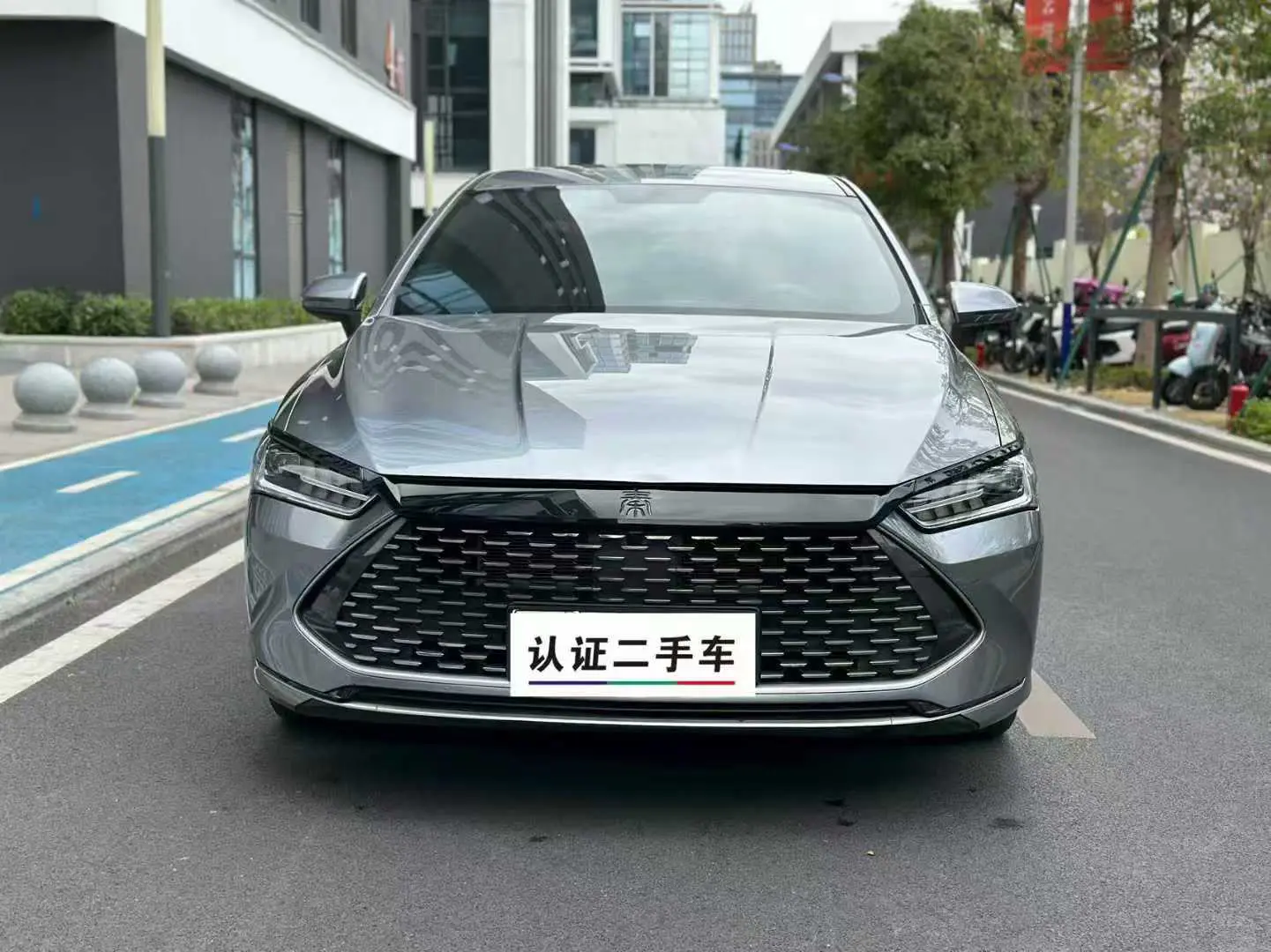 BYD Qin PLUS DM  из Китая