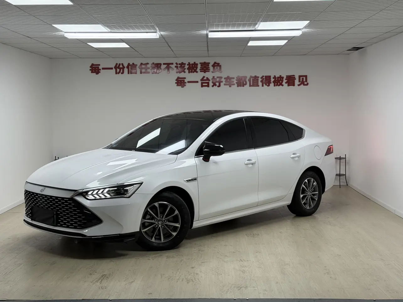 BYD Qin PLUS DM