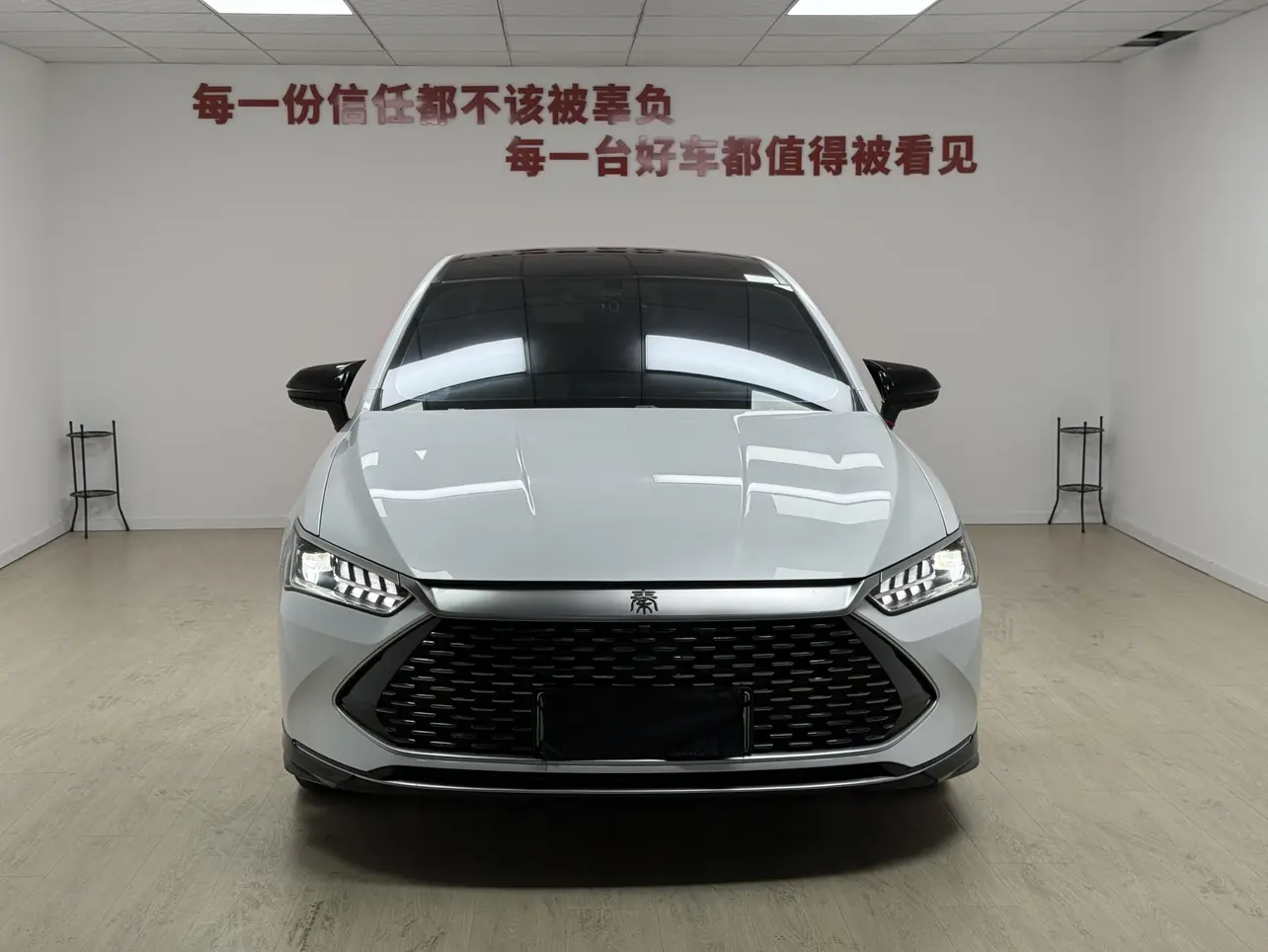 BYD Qin PLUS DM