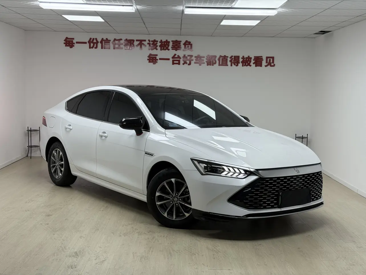 BYD Qin PLUS DM