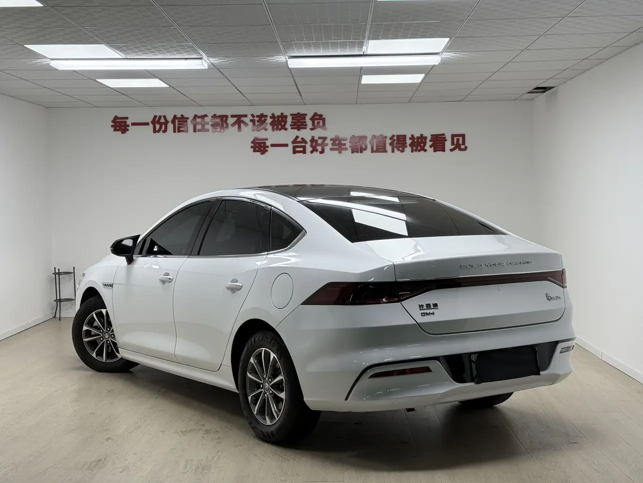 BYD Qin PLUS DM