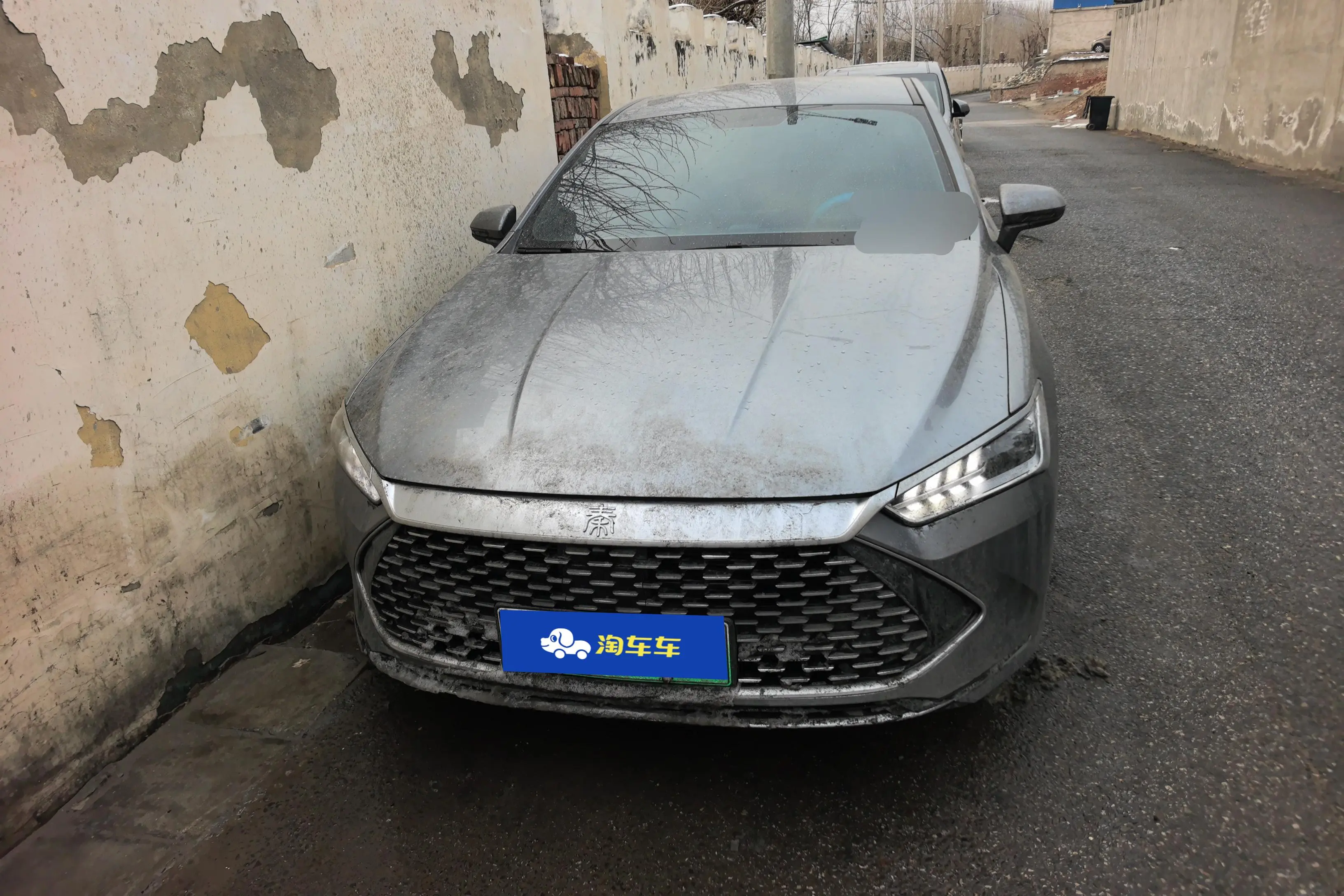 BYD Qin PLUS DM  из Китая