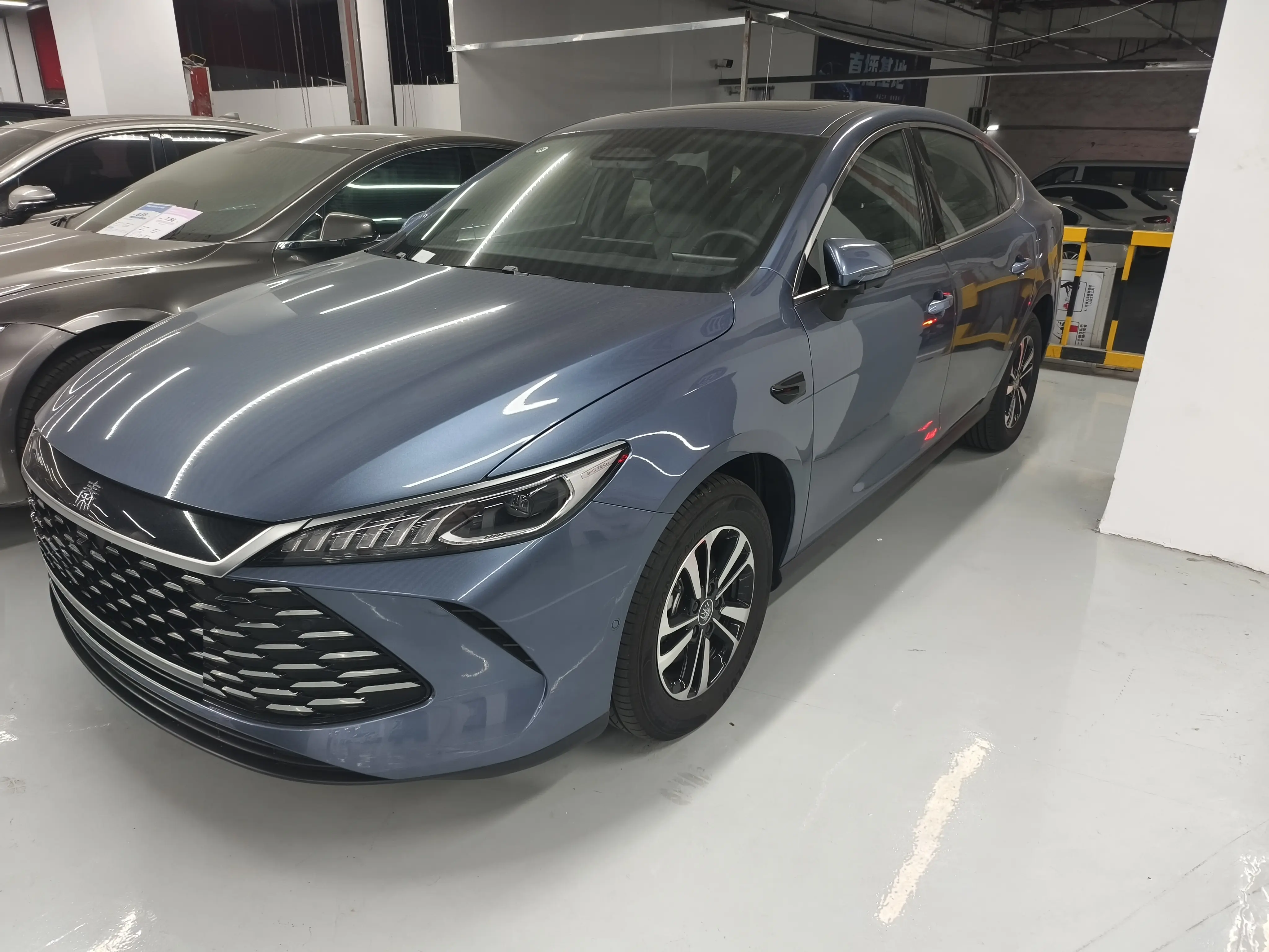 BYD Qin PLUS DM