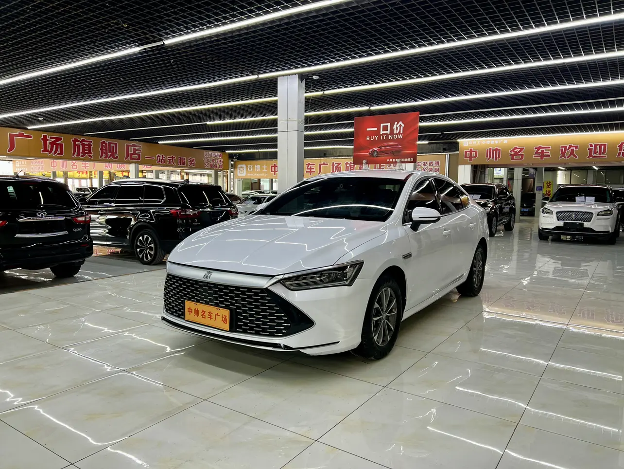BYD Qin PLUS DM