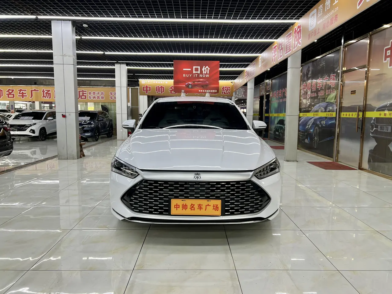 BYD Qin PLUS DM