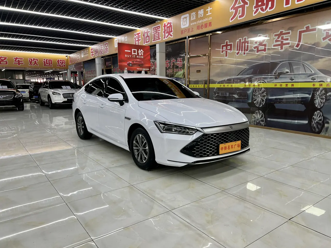 BYD Qin PLUS DM