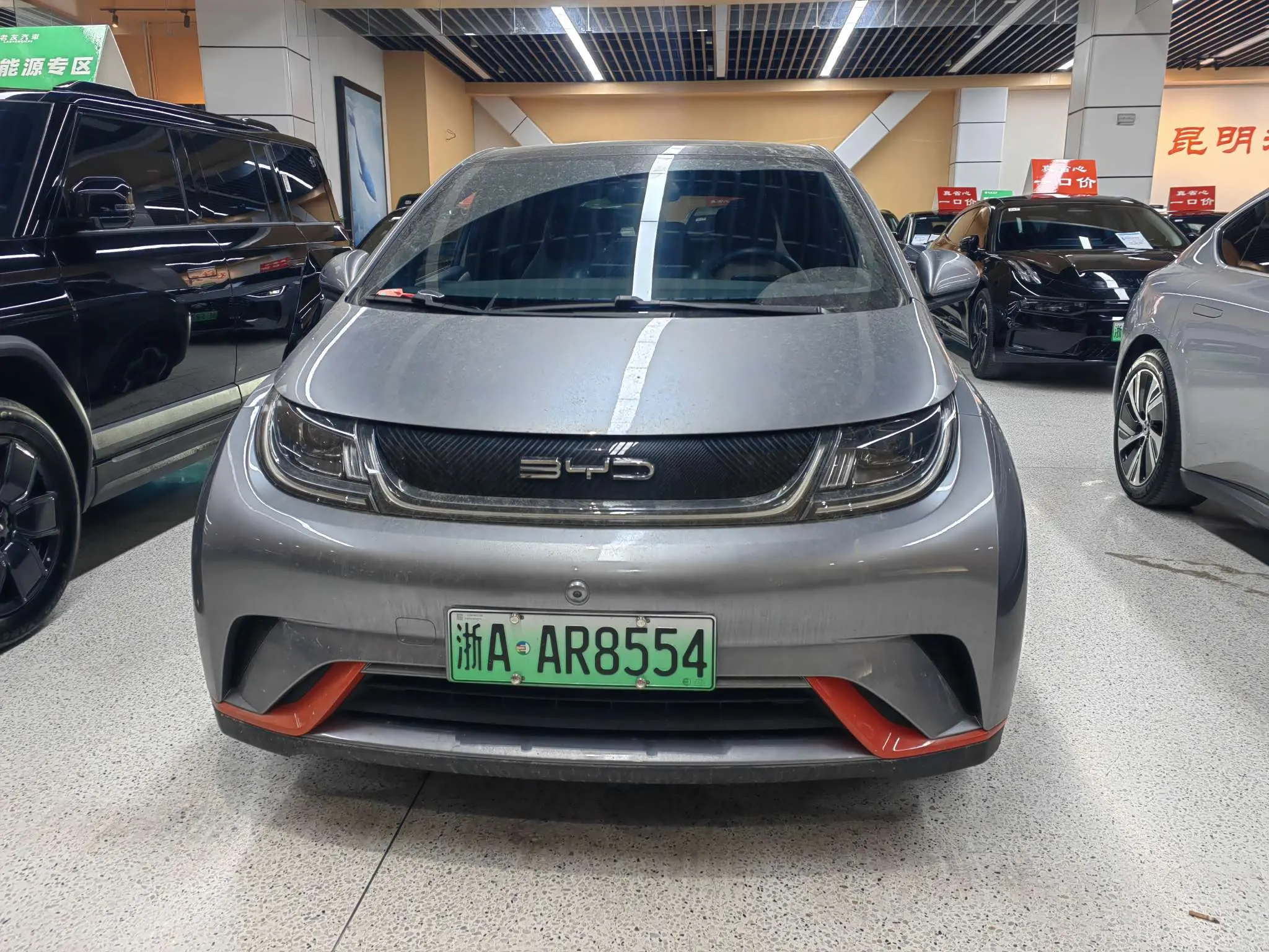 BYD Dolphin  из Китая