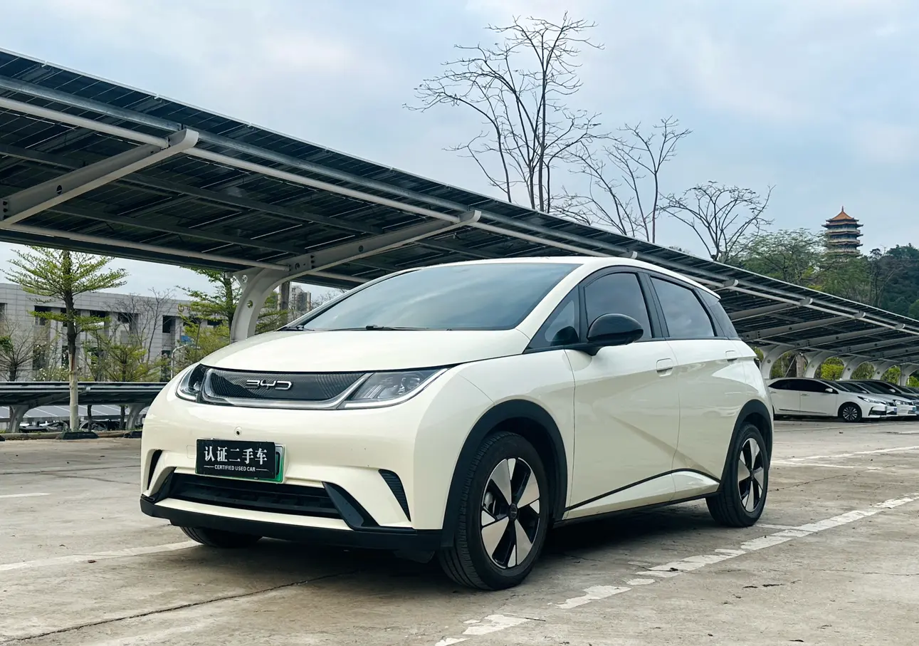 BYD Dolphin  из Китая