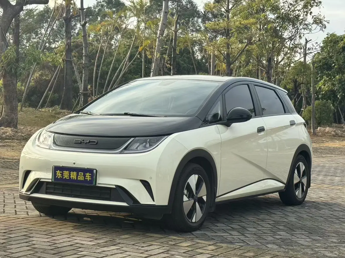 BYD Dolphin  из Китая