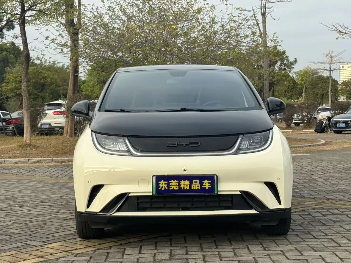 BYD Dolphin  из Китая