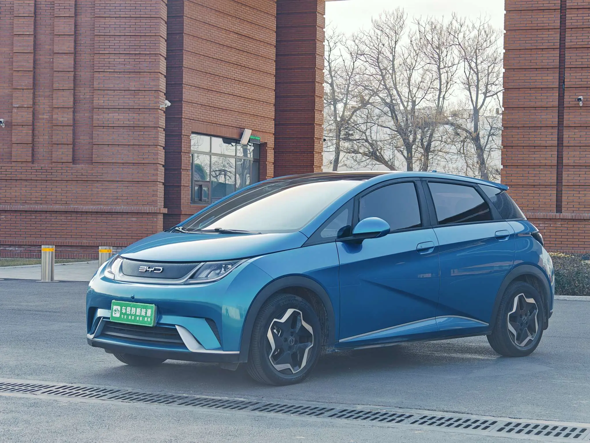 BYD Dolphin  из Китая