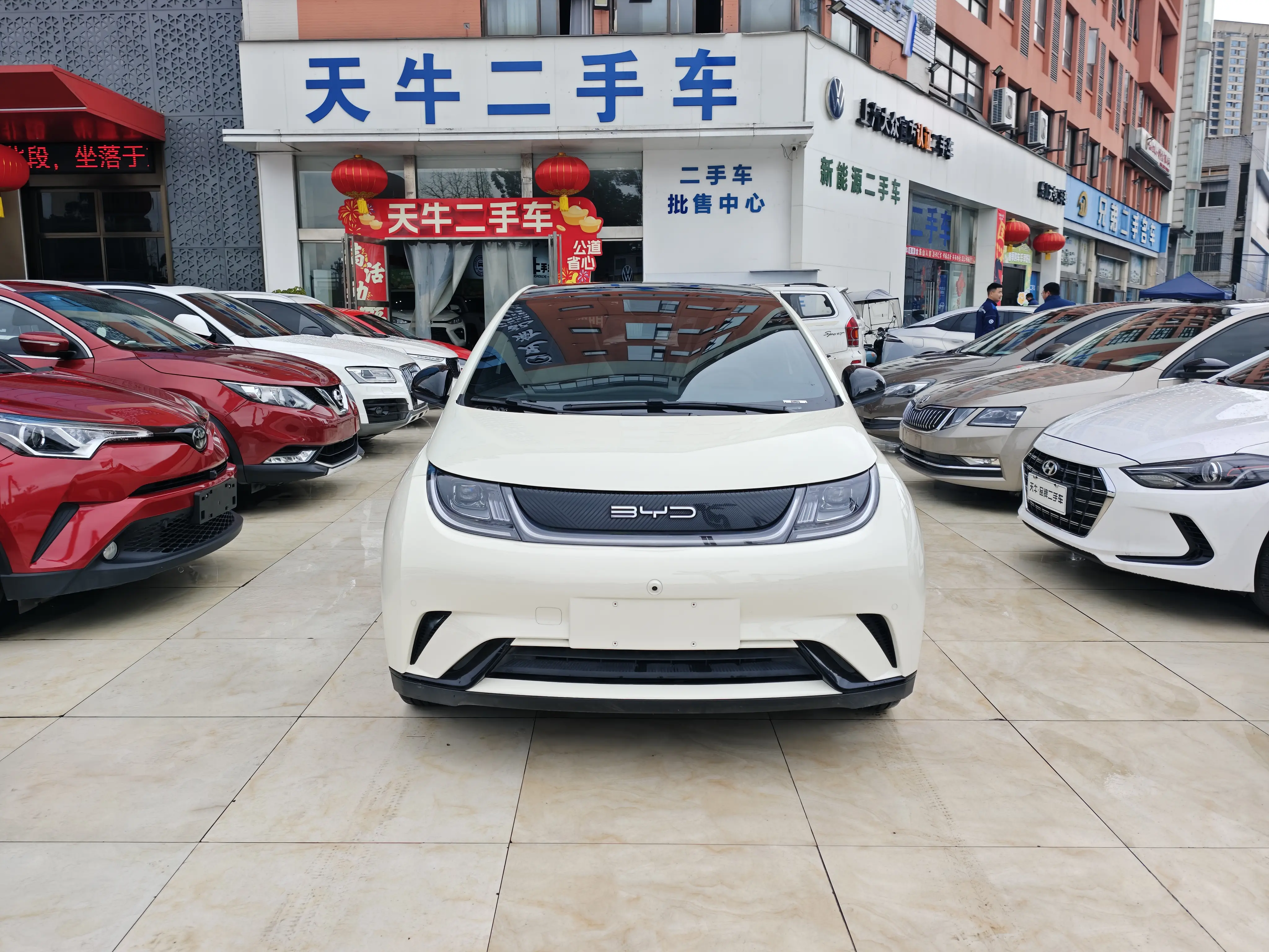 BYD Dolphin  из Китая