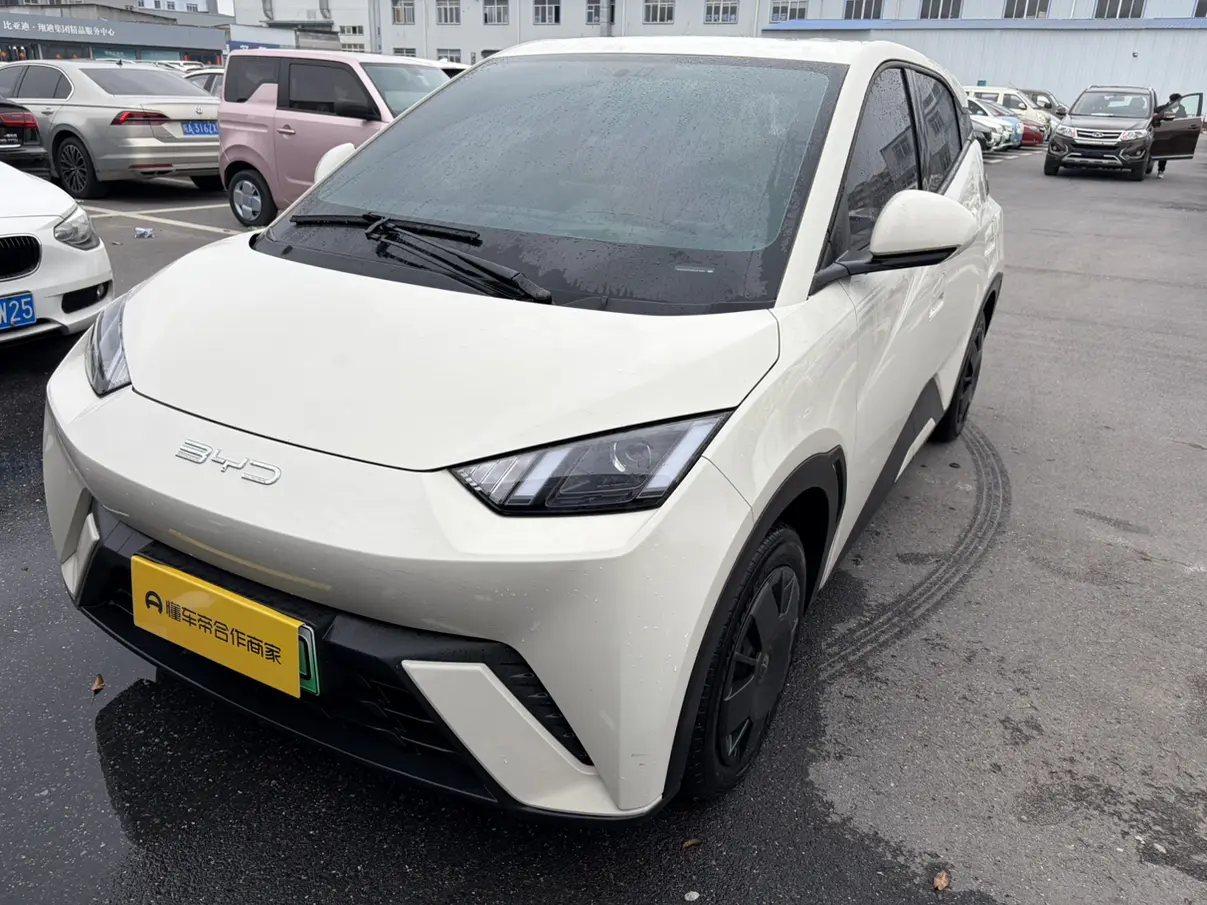 BYD Seagull  из Китая