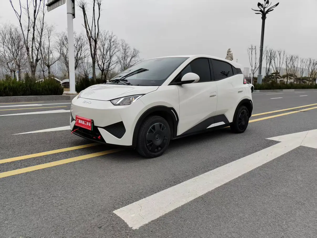 BYD Seagull  из Китая