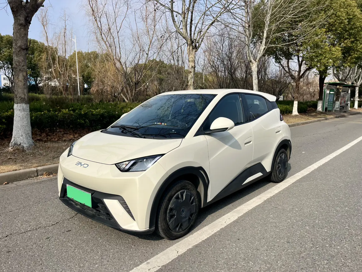 BYD Seagull  из Китая