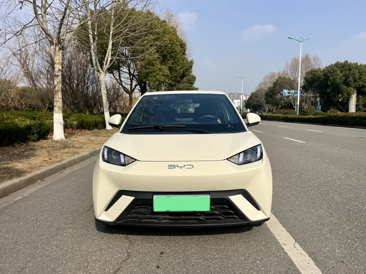 BYD Seagull  из Китая