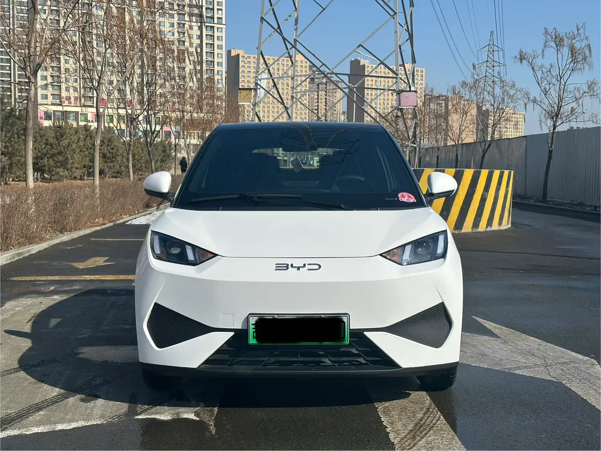 BYD Seagull  из Китая