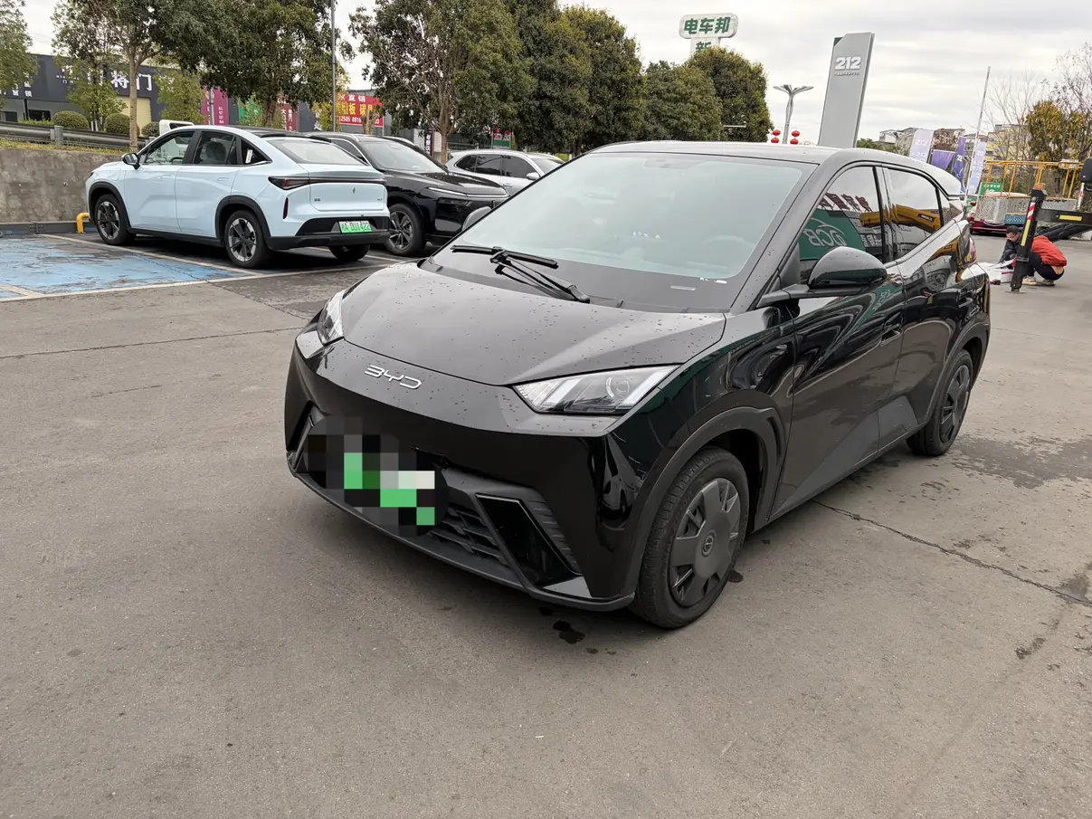 BYD Seagull  из Китая