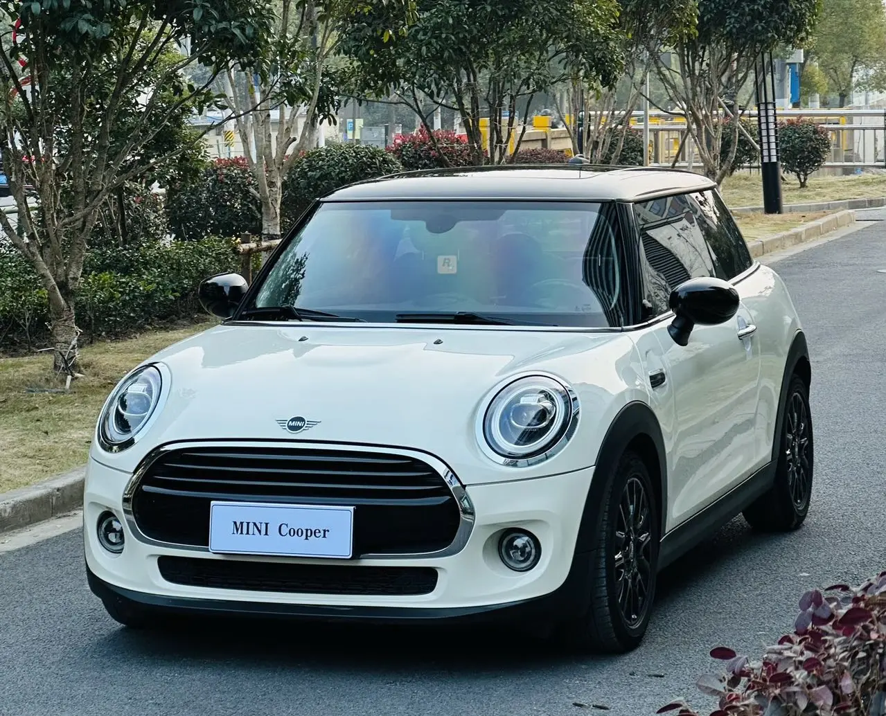 MINI MINI