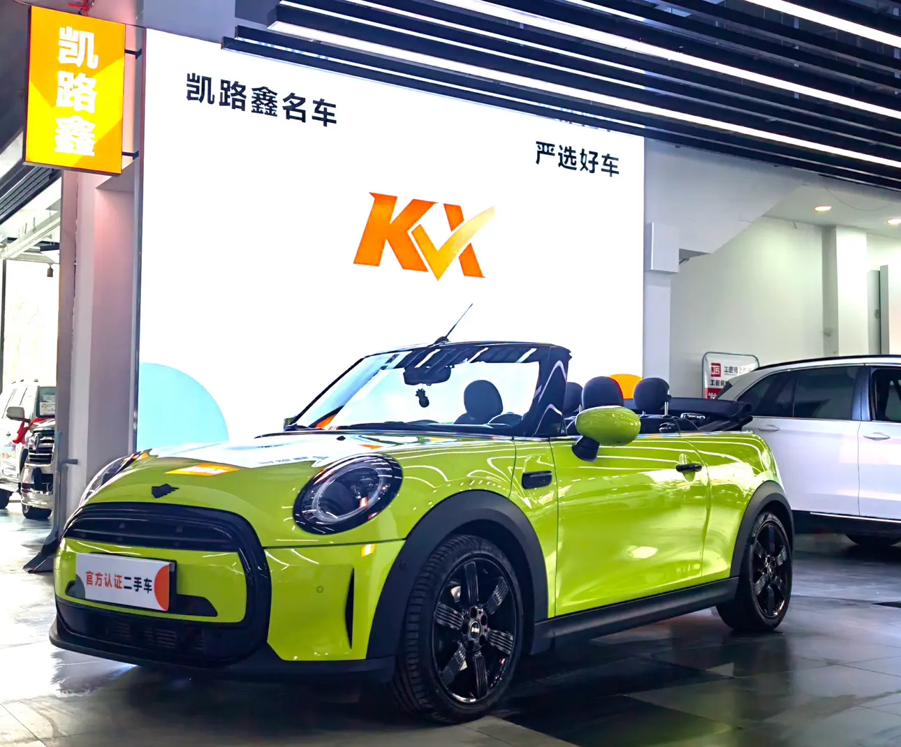 MINI MINI
