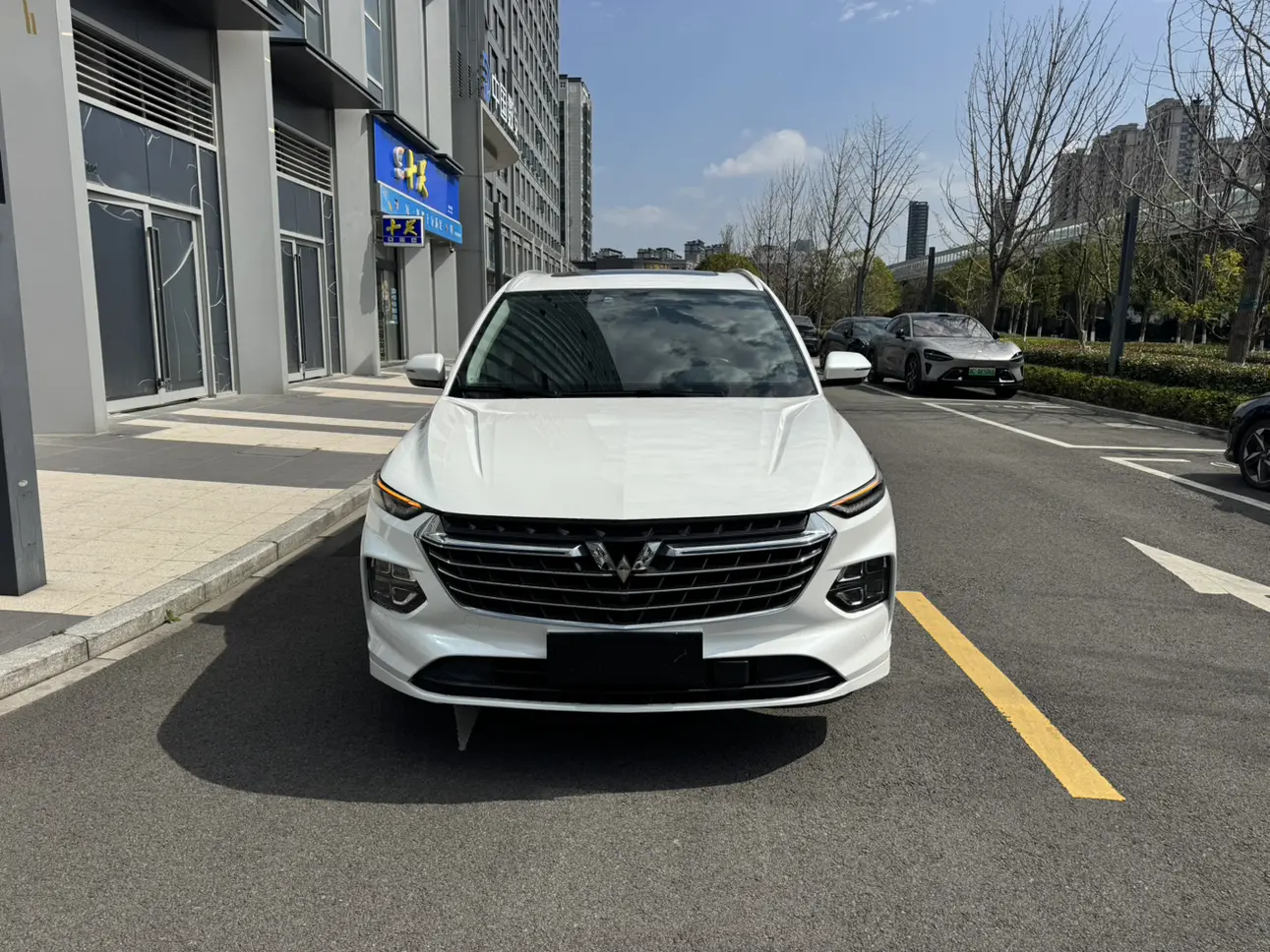 Wuling Capgemini Victory  из Китая