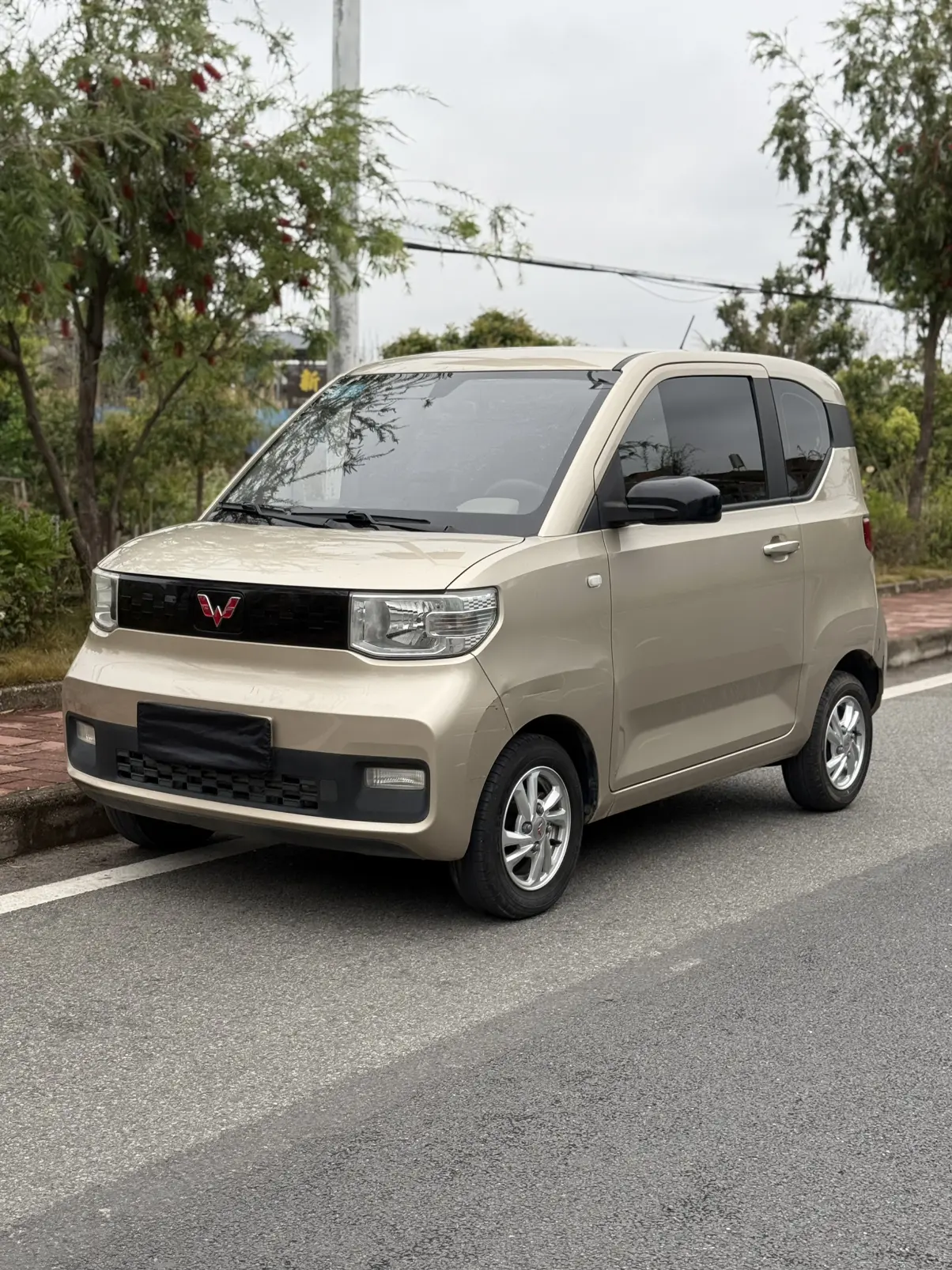 Wuling Hongguang MINIEV  из Китая
