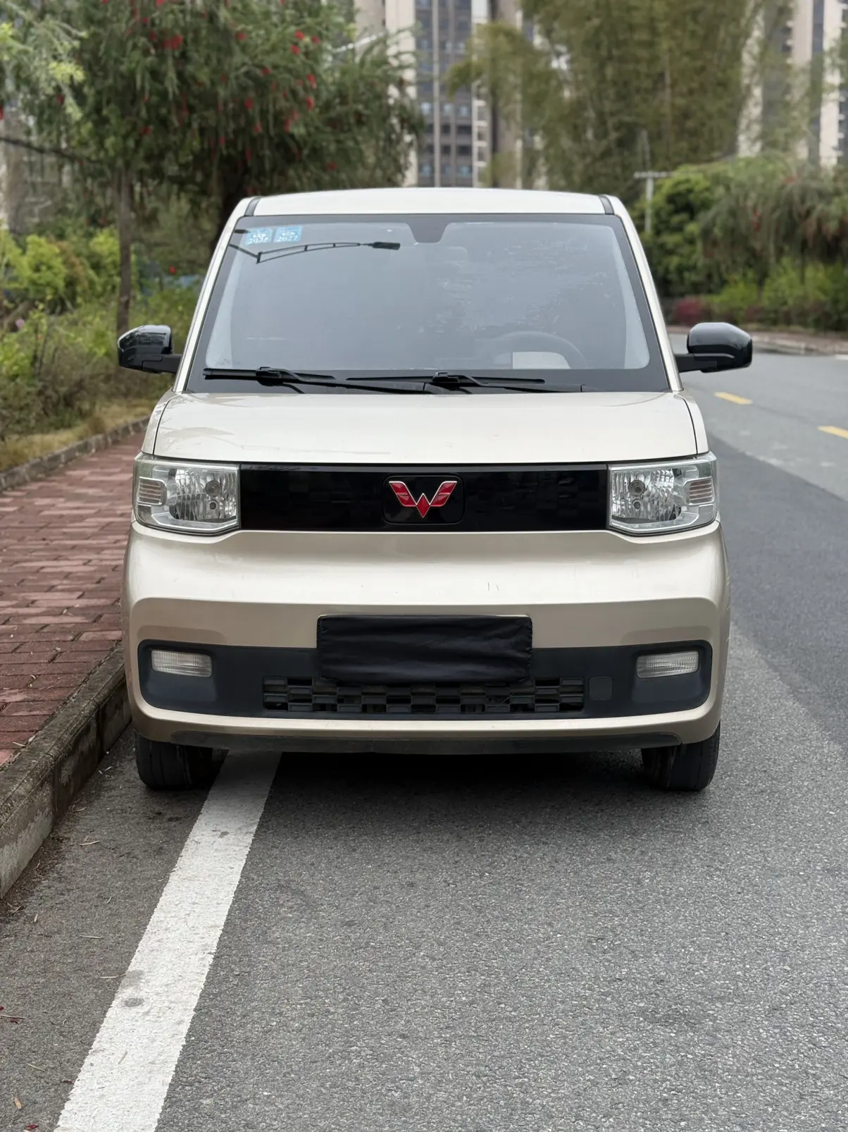 Wuling Hongguang MINIEV  из Китая