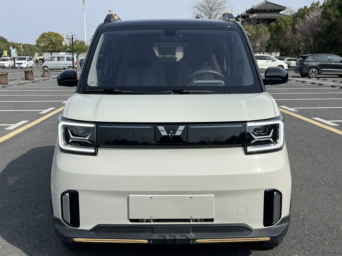Wuling Hongguang MINIEV  из Китая