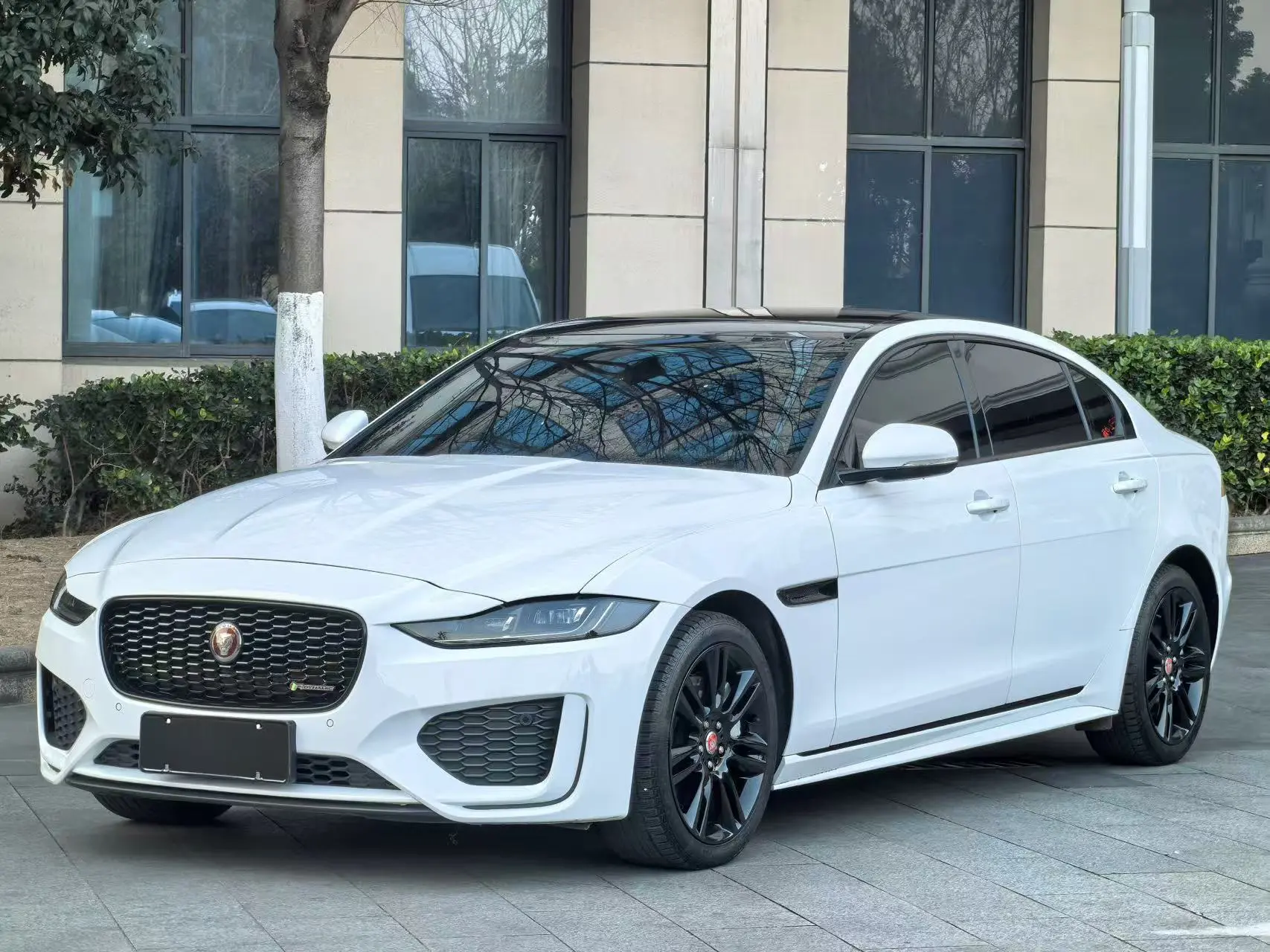 Jaguar XEL
