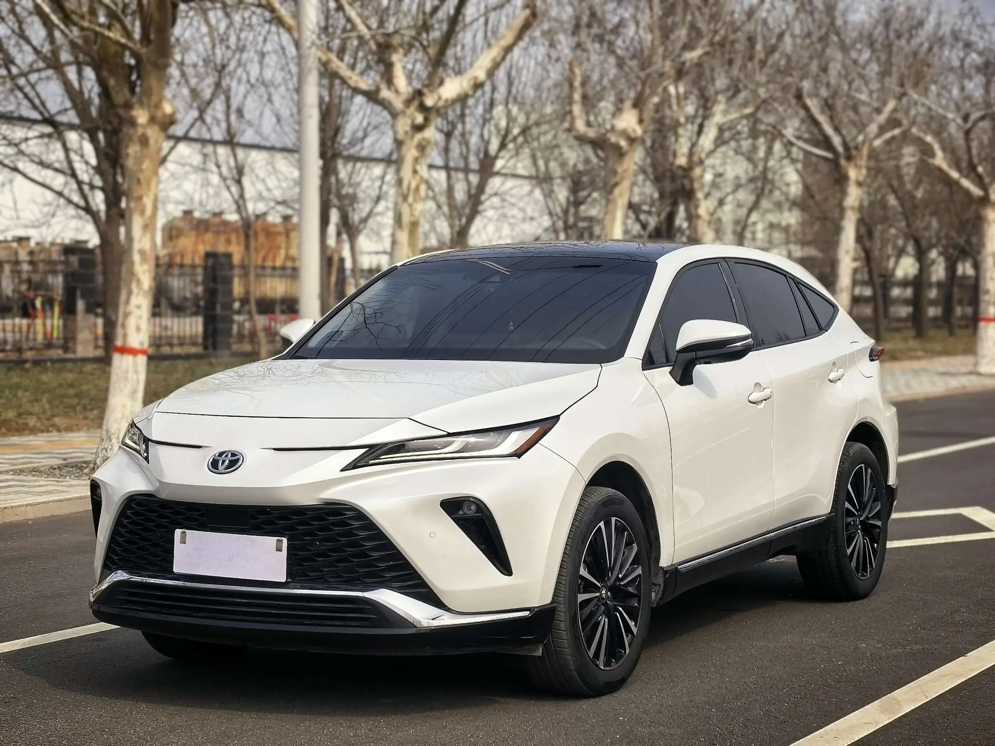 Toyota Venza