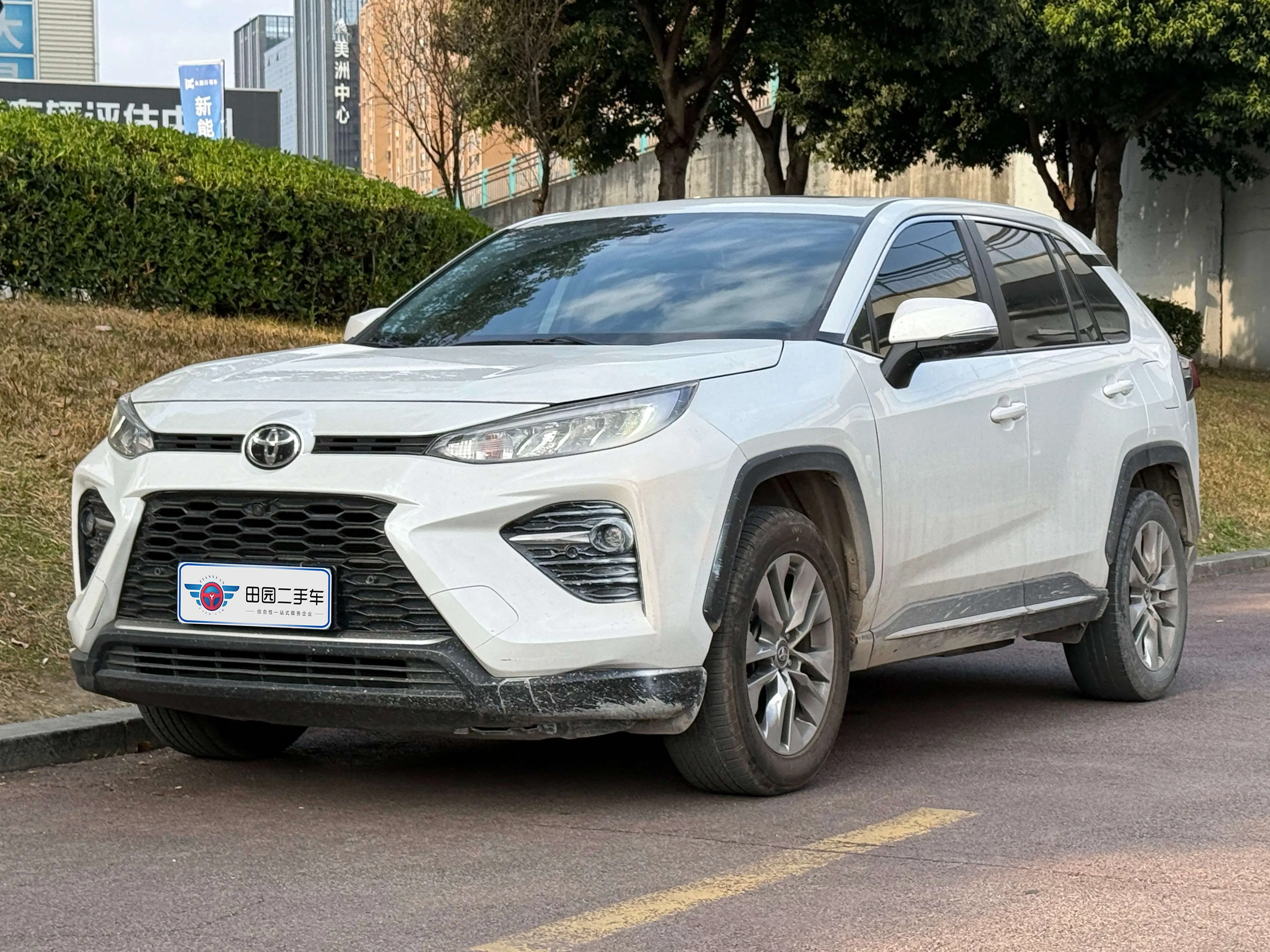 Toyota Willanda