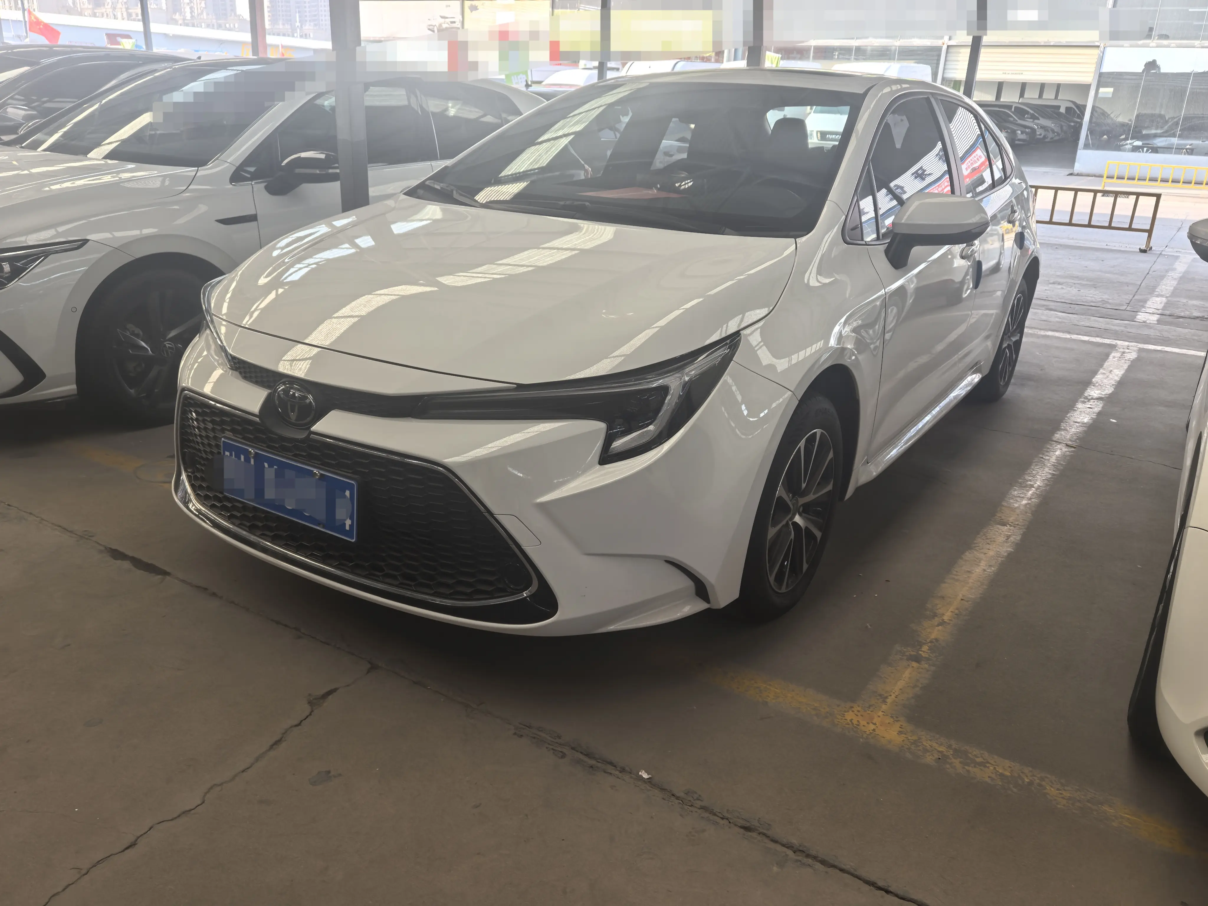 Toyota Levin