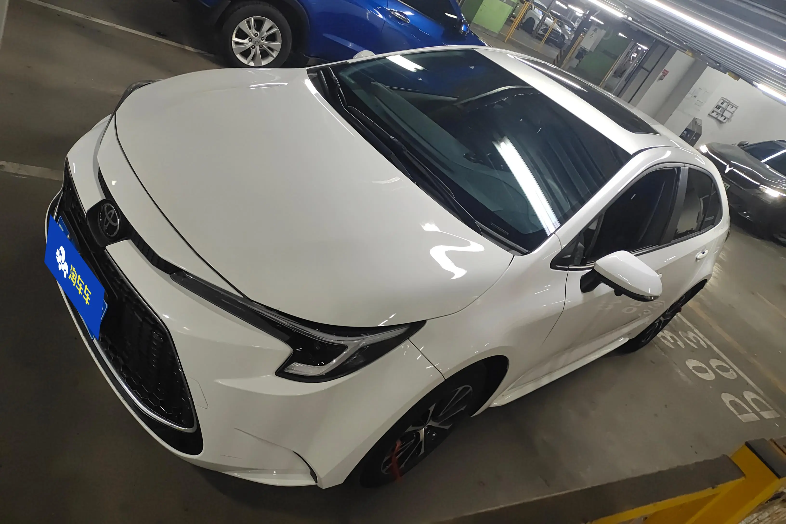 Toyota Levin
