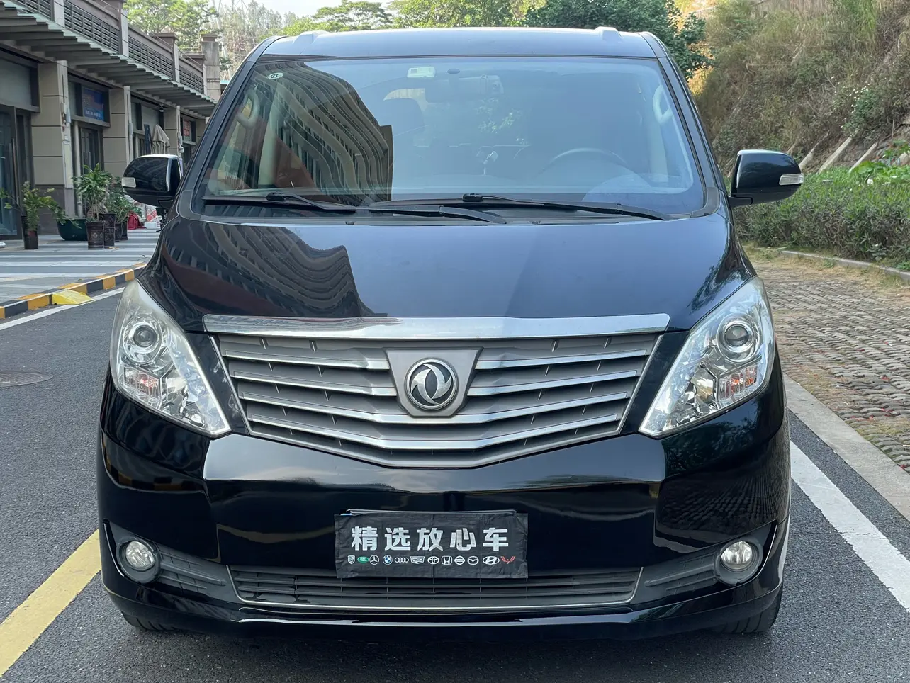 Forthing Lingzhi PLUS  из Китая