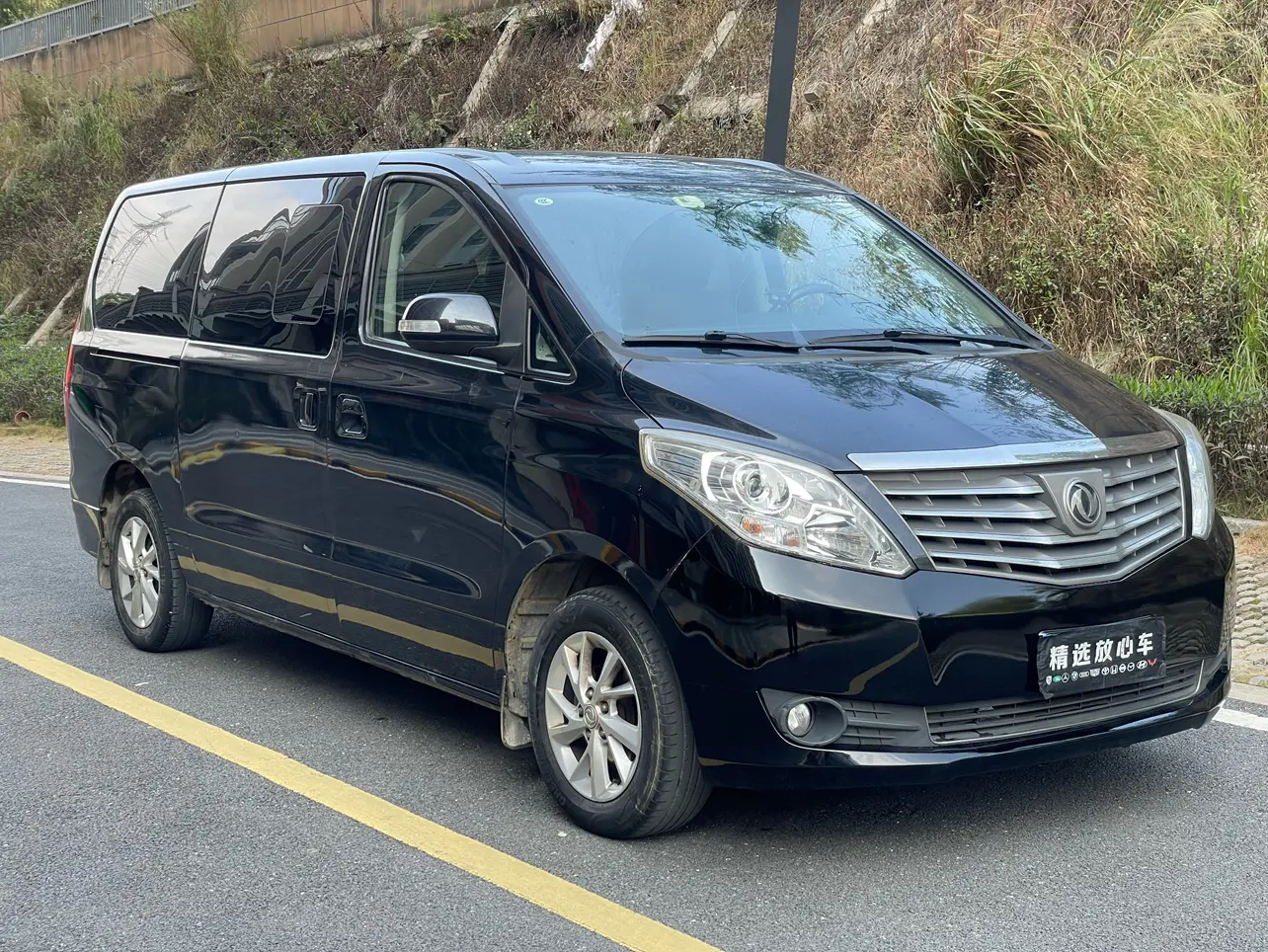 Forthing Lingzhi PLUS  из Китая