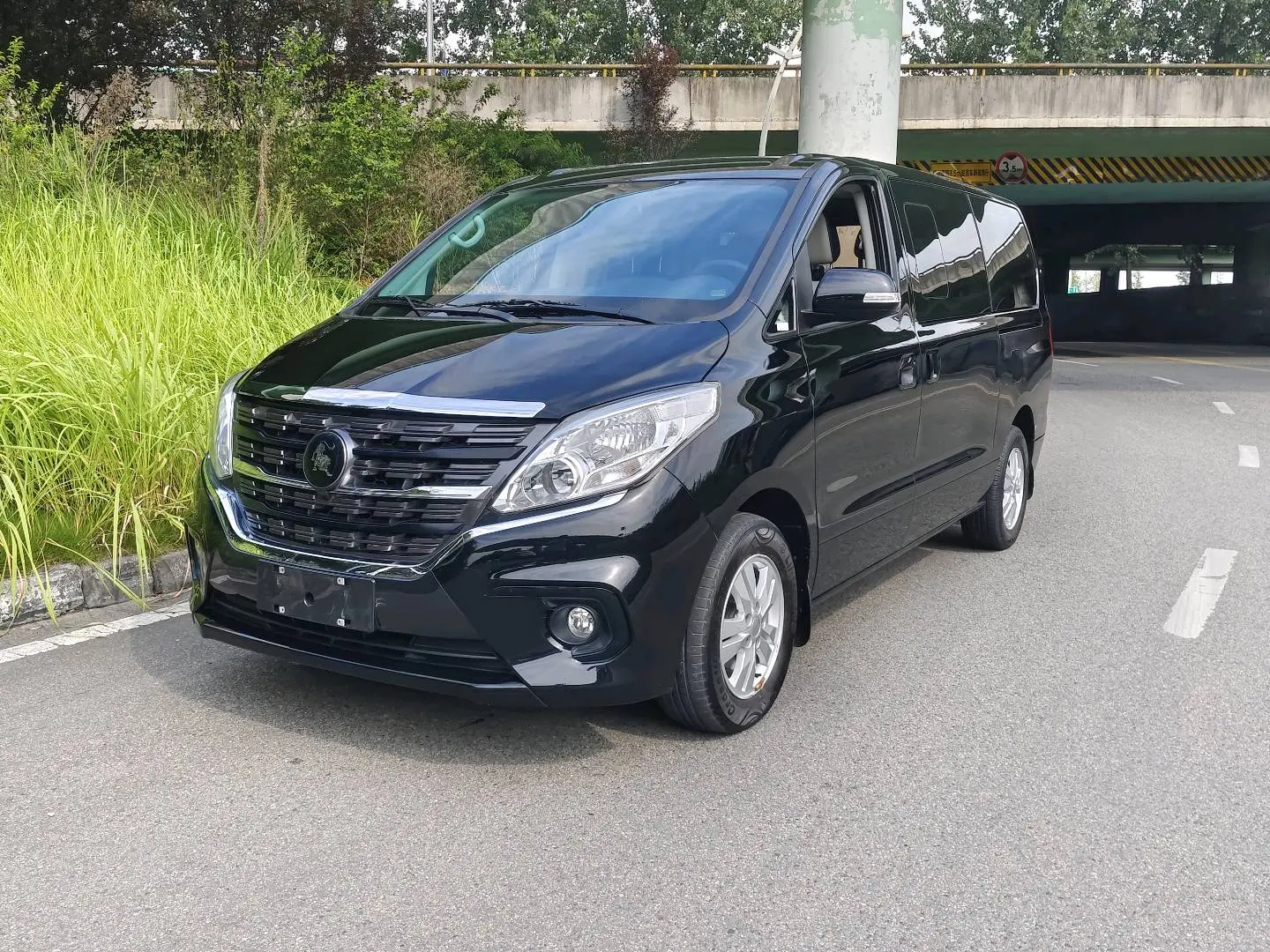 Forthing Lingzhi PLUS  из Китая