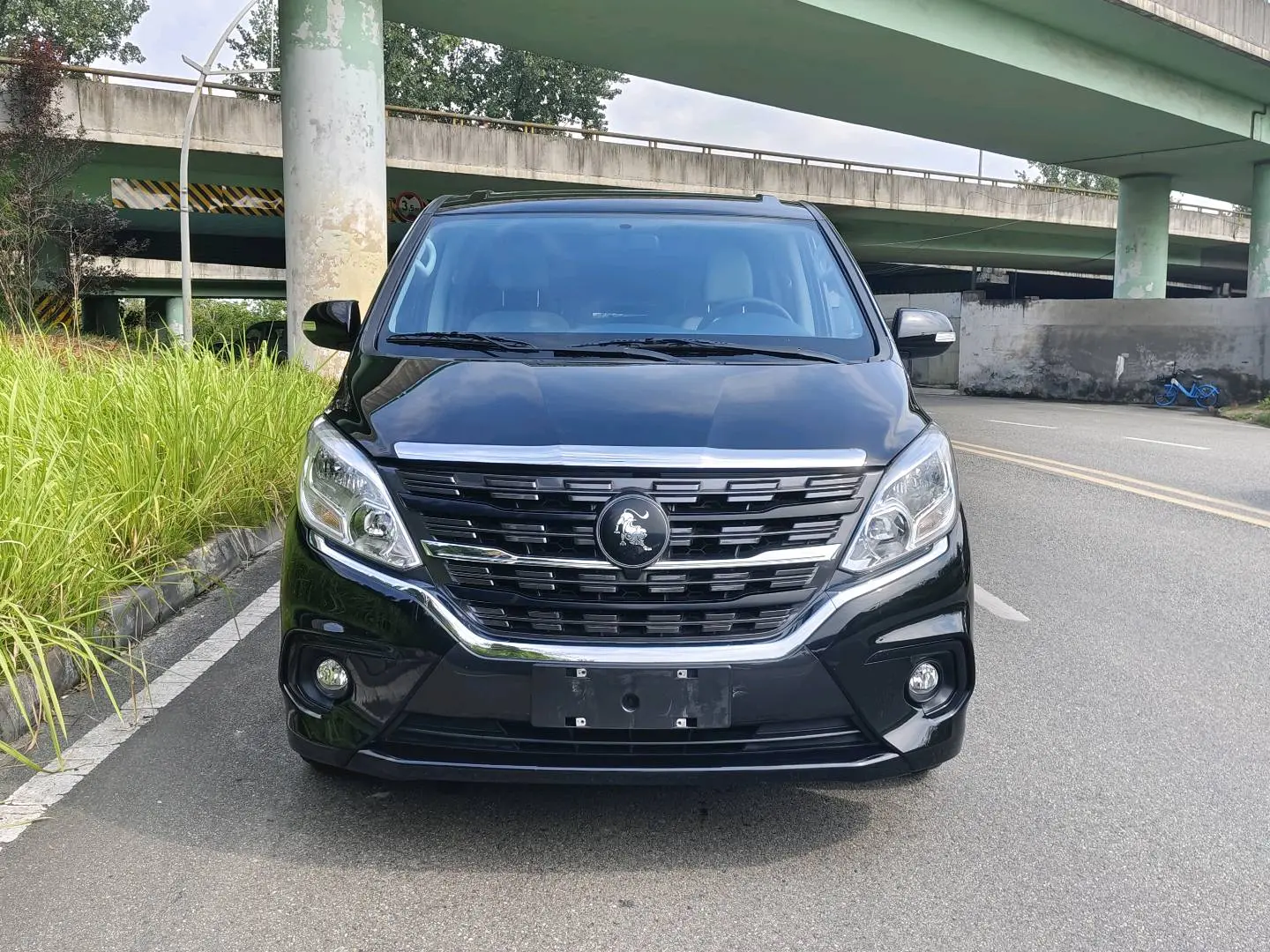 Forthing Lingzhi PLUS  из Китая