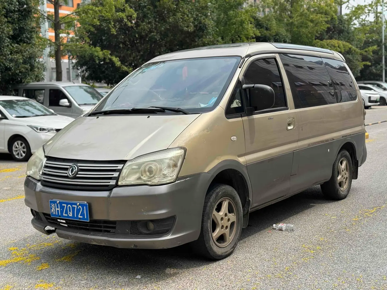 Forthing Lingzhi  из Китая