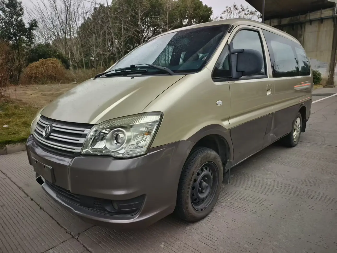 Forthing Lingzhi  из Китая