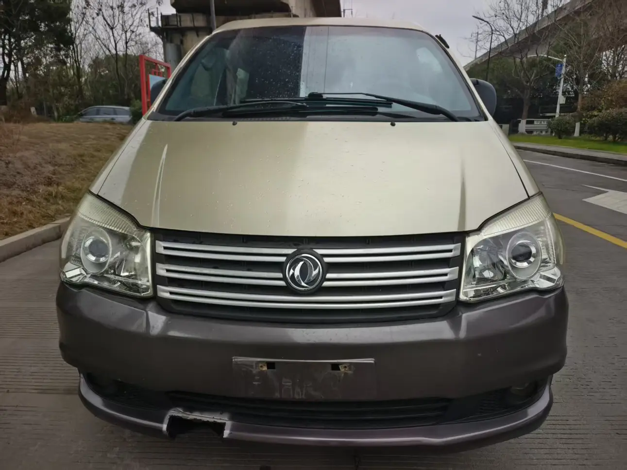 Forthing Lingzhi  из Китая