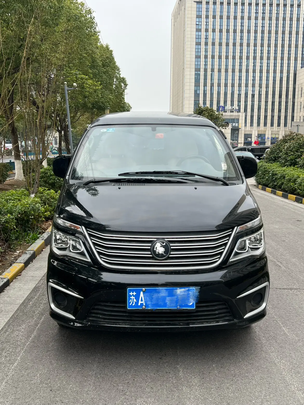 Forthing Lingzhi  из Китая