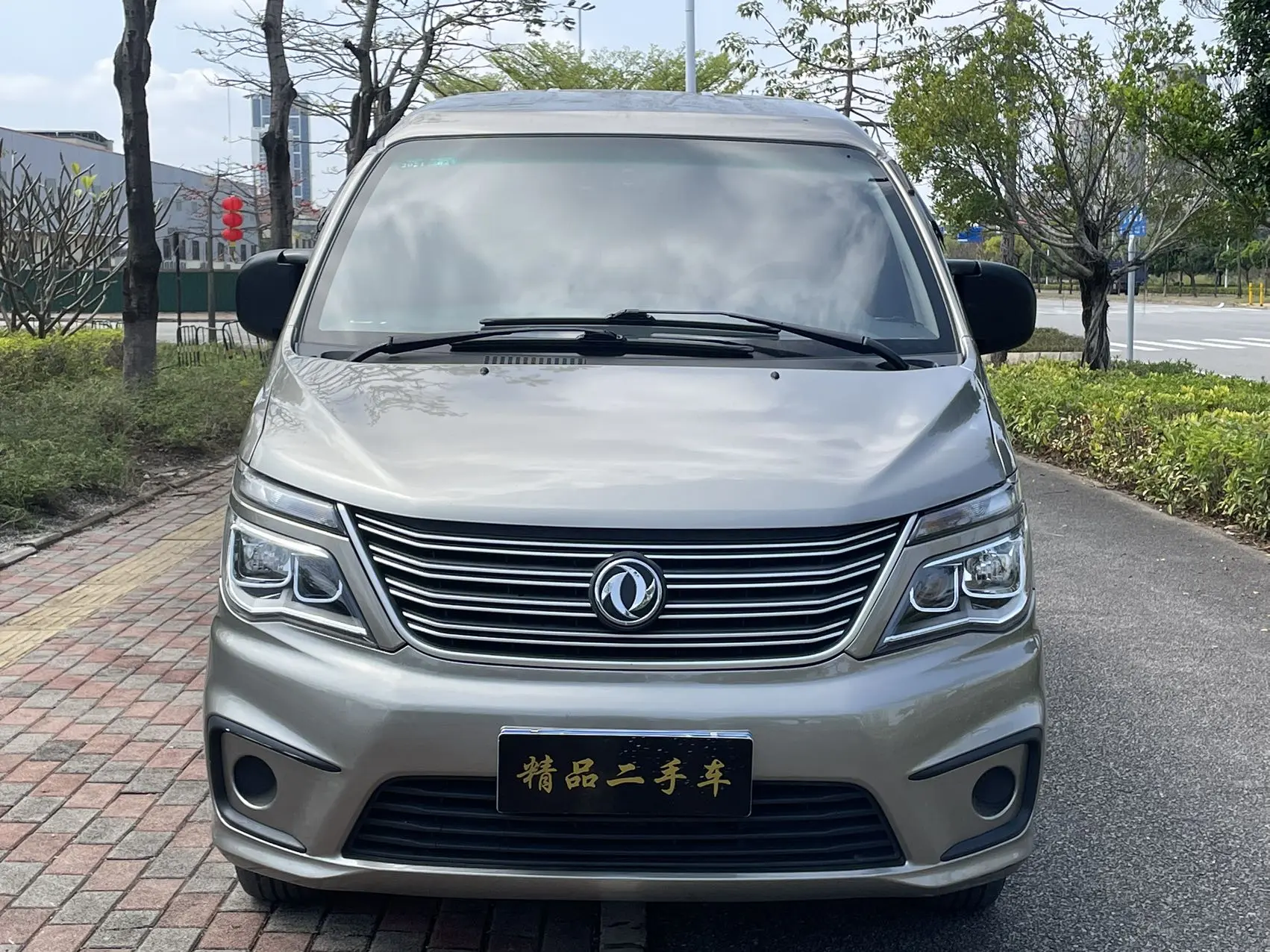 Forthing Lingzhi  из Китая