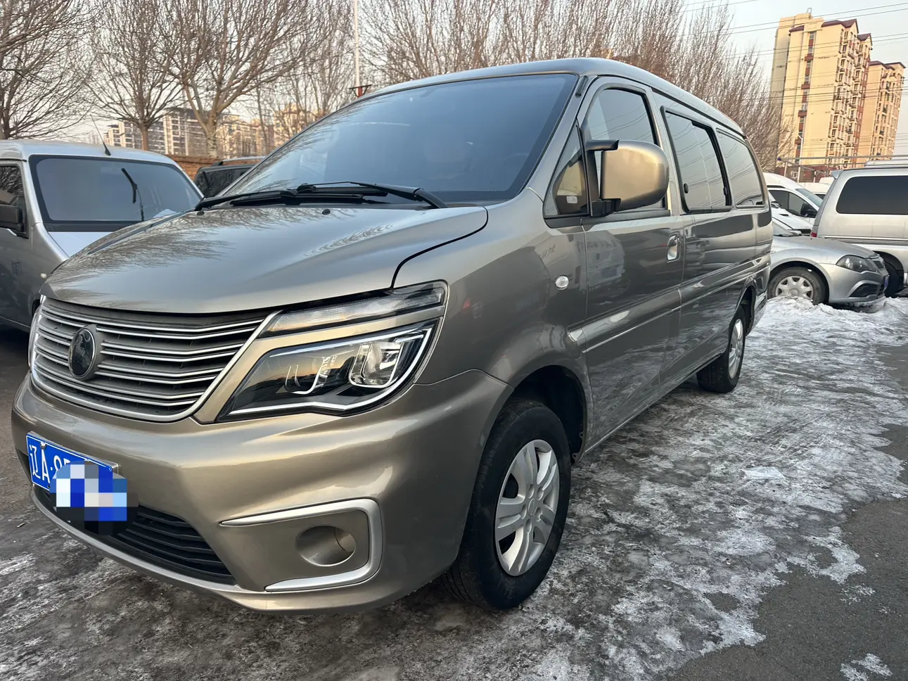 Forthing Lingzhi  из Китая