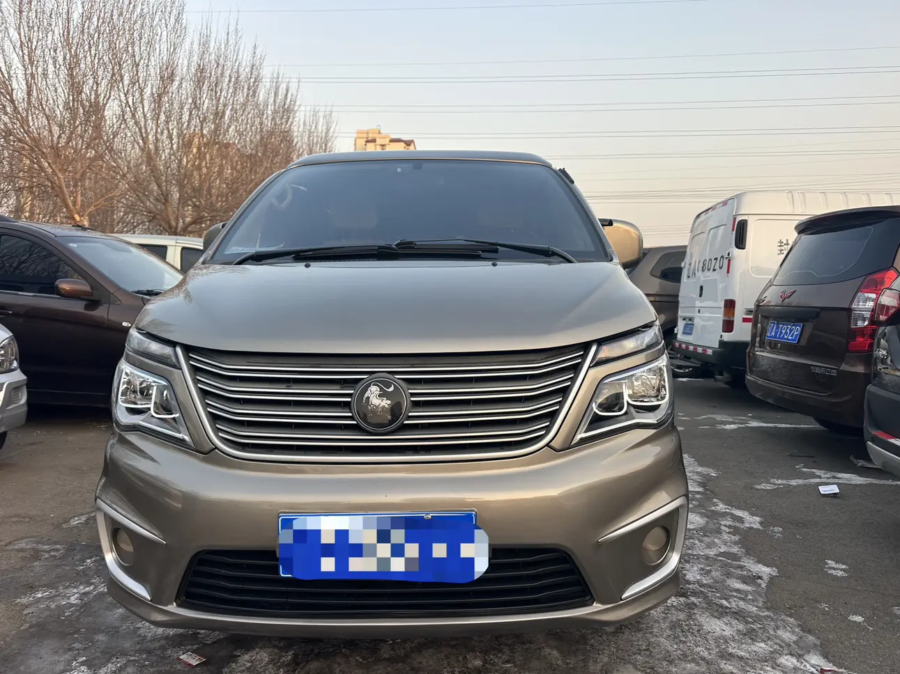 Forthing Lingzhi  из Китая