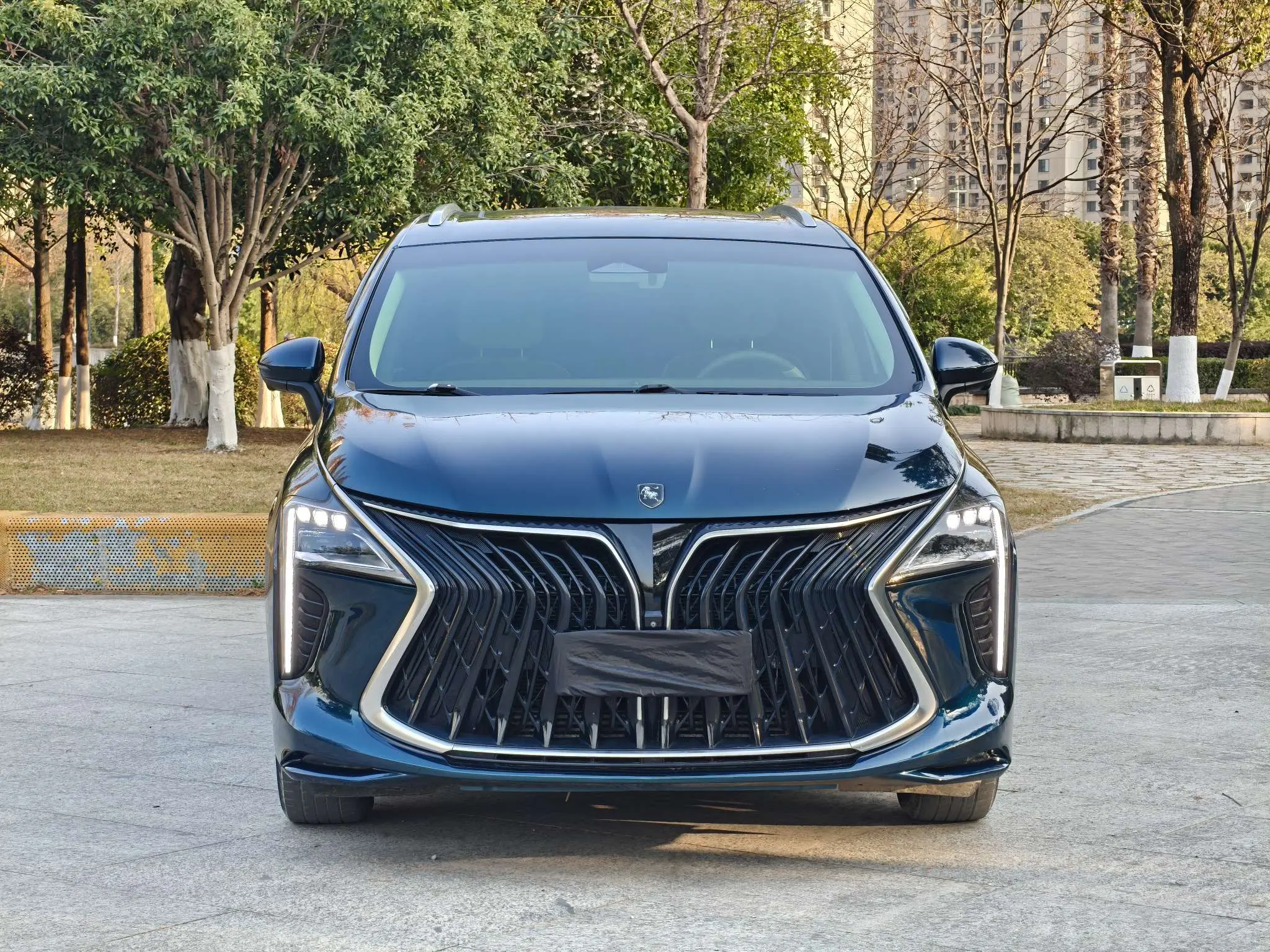 Forthing Popular yacht  из Китая