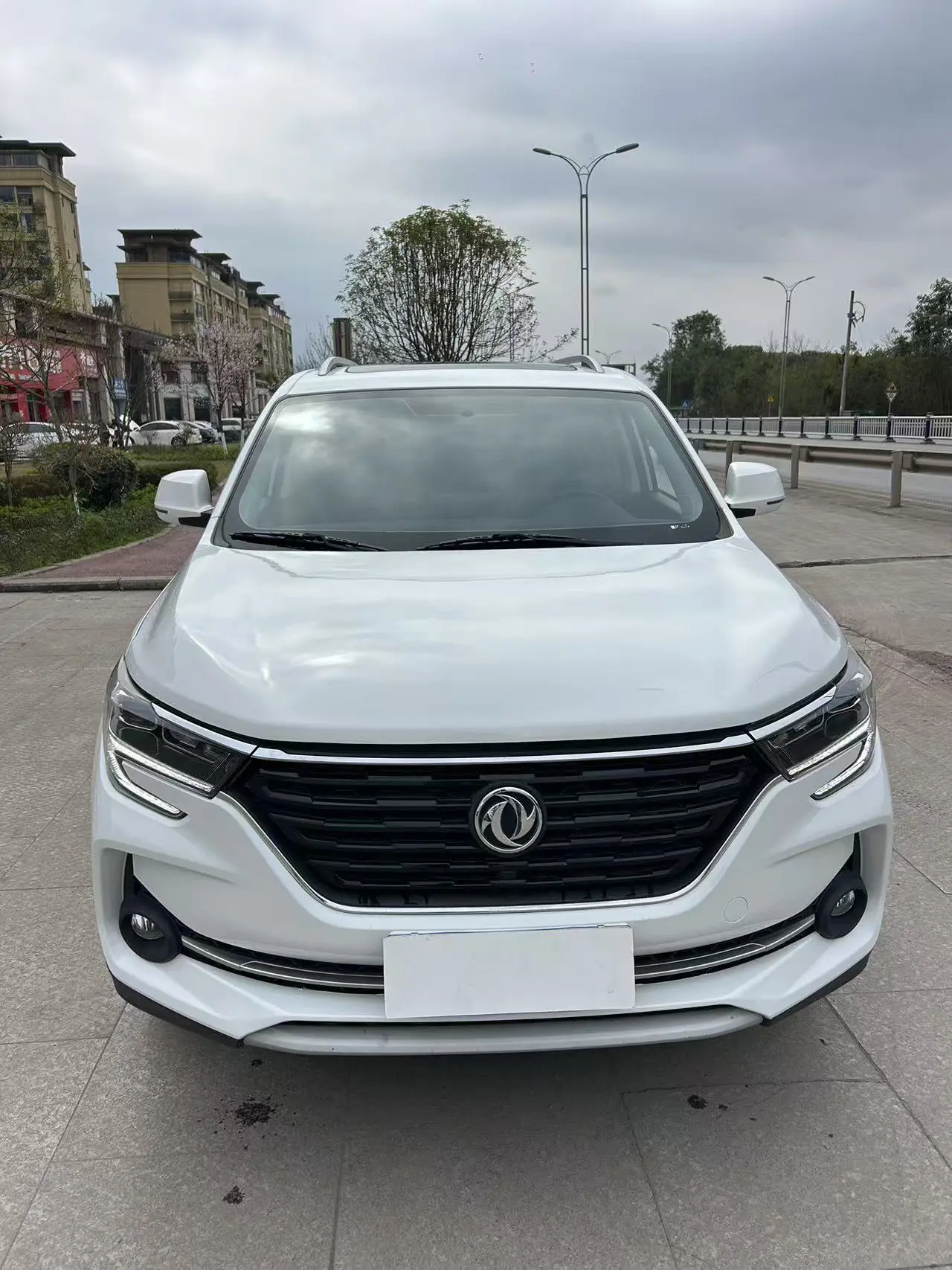 Forthing Fengxing T5  из Китая