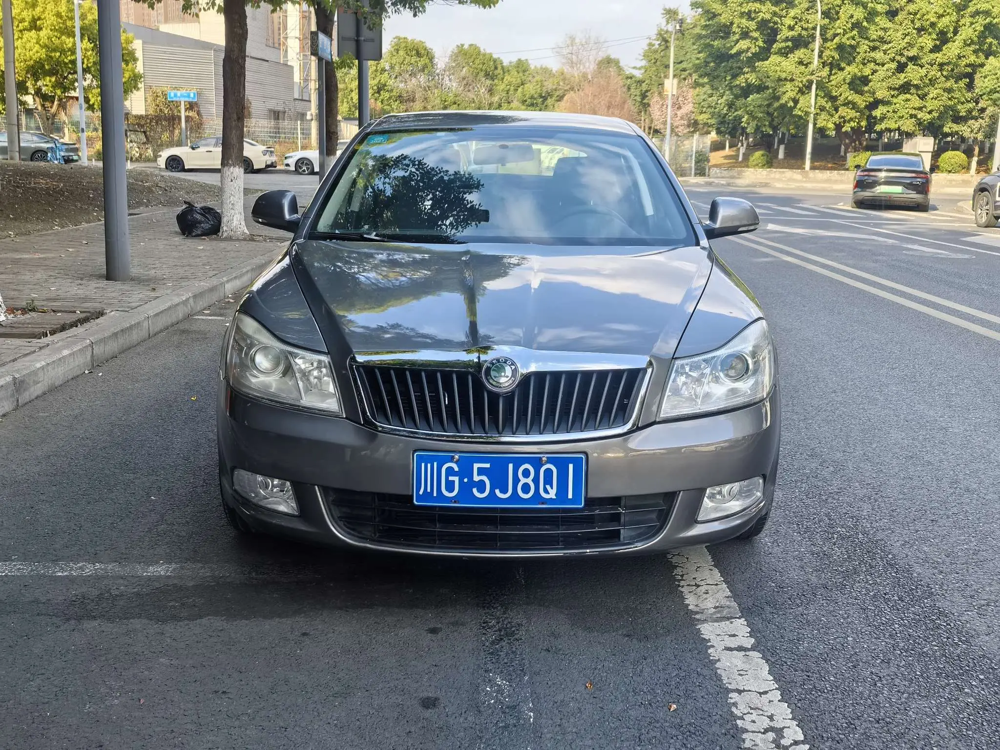 Skoda Octavia  из Китая