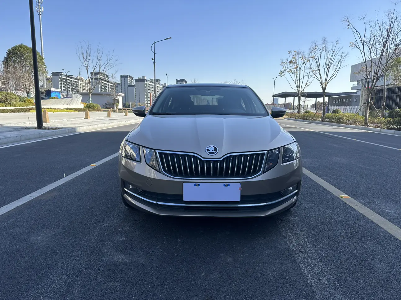 Skoda Octavia  из Китая