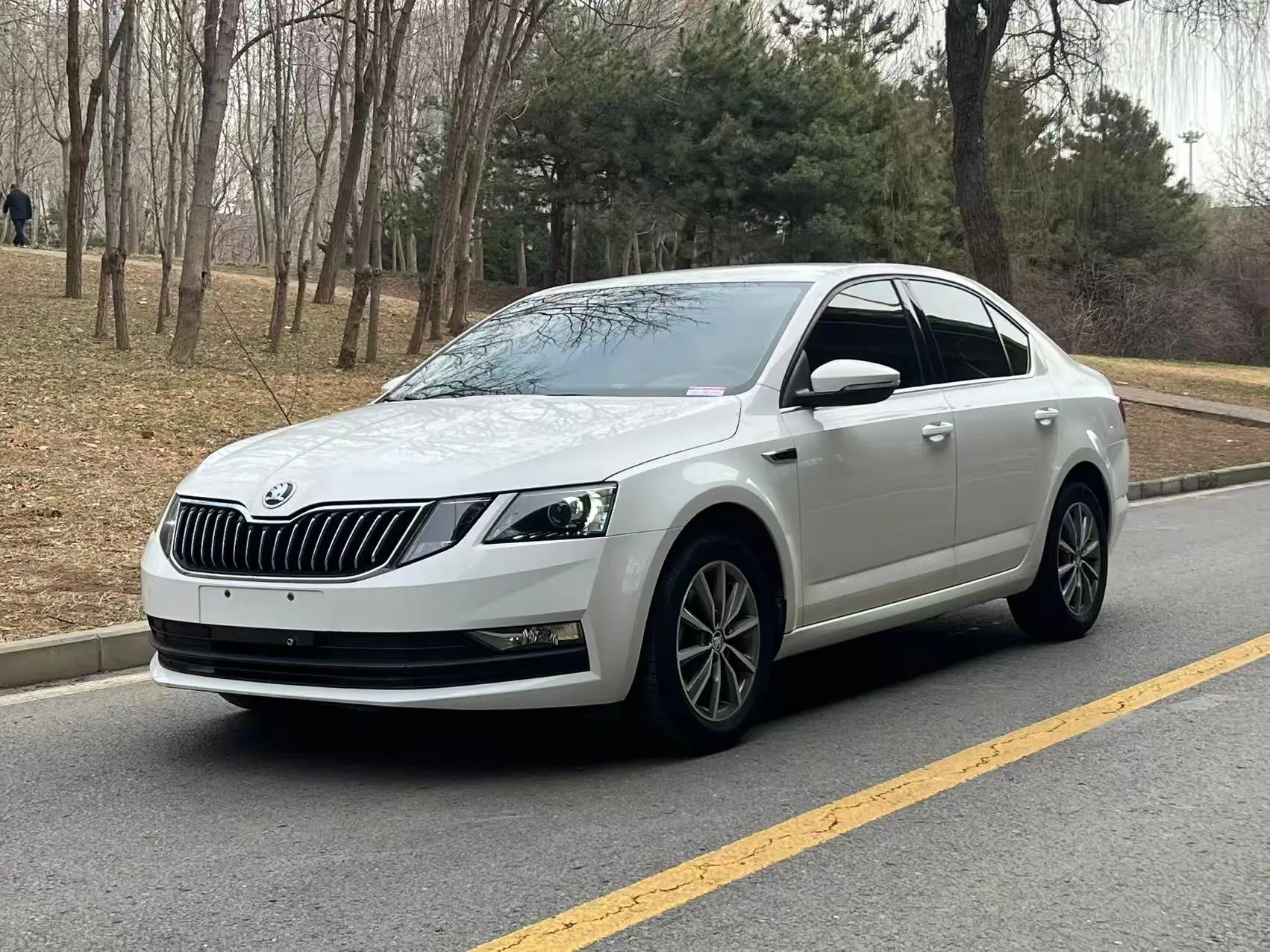 Skoda Octavia  из Китая